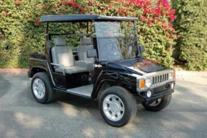 affordable golf cart rental, golf cart rent seattle golf cart rental 