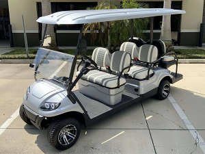 seattle golf cart rental, golf cart rentals